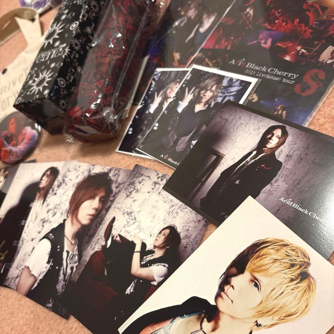 【激レア早い者勝ち】AcidBlackcherryまとめ売り♡