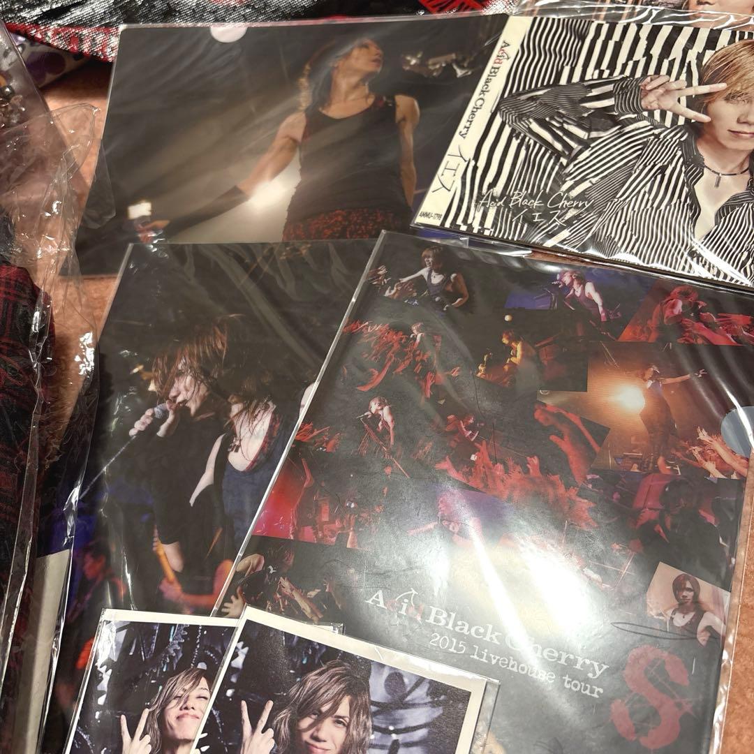 【激レア早い者勝ち】AcidBlackcherryまとめ売り♡