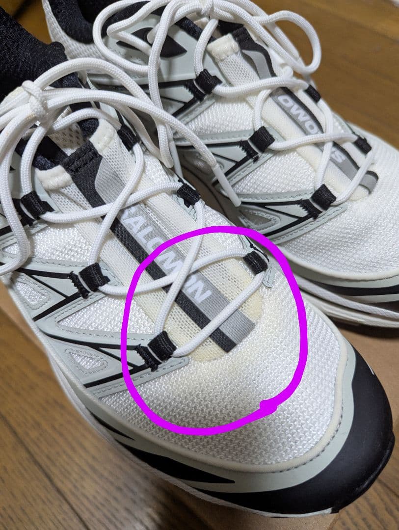 【新品未使用】SALOMON XT-6 EXPANSE　24.5cm（タグ無し）