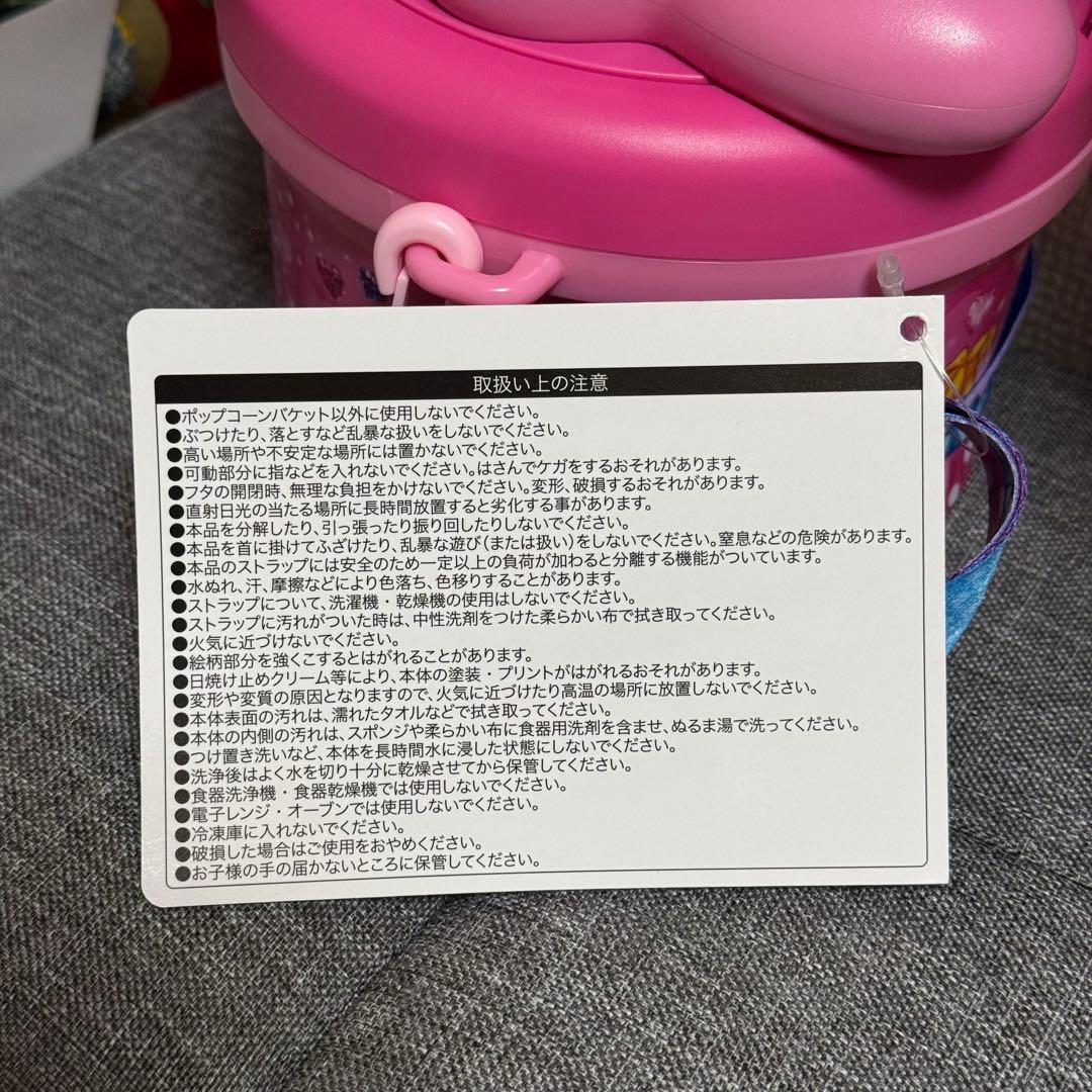 ミニー　ポップコーンバケット　パルパルーザ