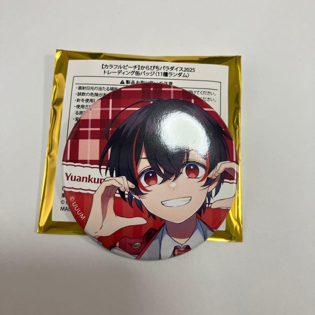 カラフルピーチ ぱらぴち 缶バッジ ゆあんくん からぴち パラダイス