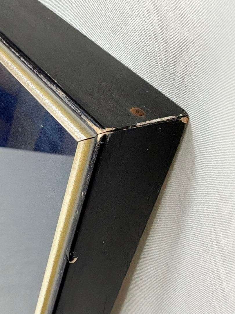 「春光」　土肥武雄　絵画　日本画　鳥　花