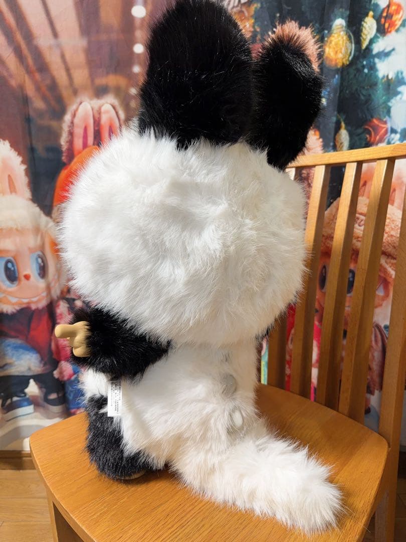 ayuYNhiro　スペシャルオーダー