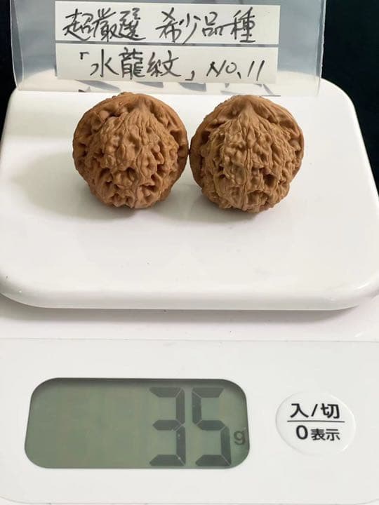 遊び胡桃 希少品種 超厳選水龍紋No.11 くるみ 趣味健康グッズ コレクション