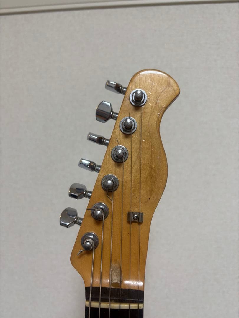 【Bacchus|telecaster】テレキャスター エレキギター バッカス