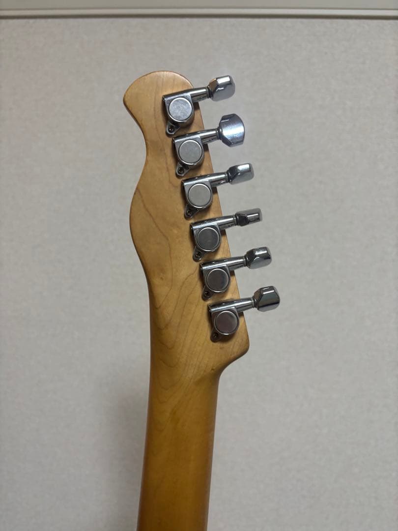 【Bacchus|telecaster】テレキャスター エレキギター バッカス