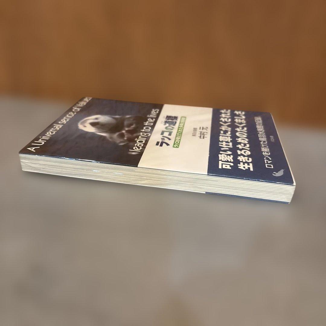 ●激レア● ラッコの道標 ラッコが教えてくれた多様な価値観 中村元　帯付き