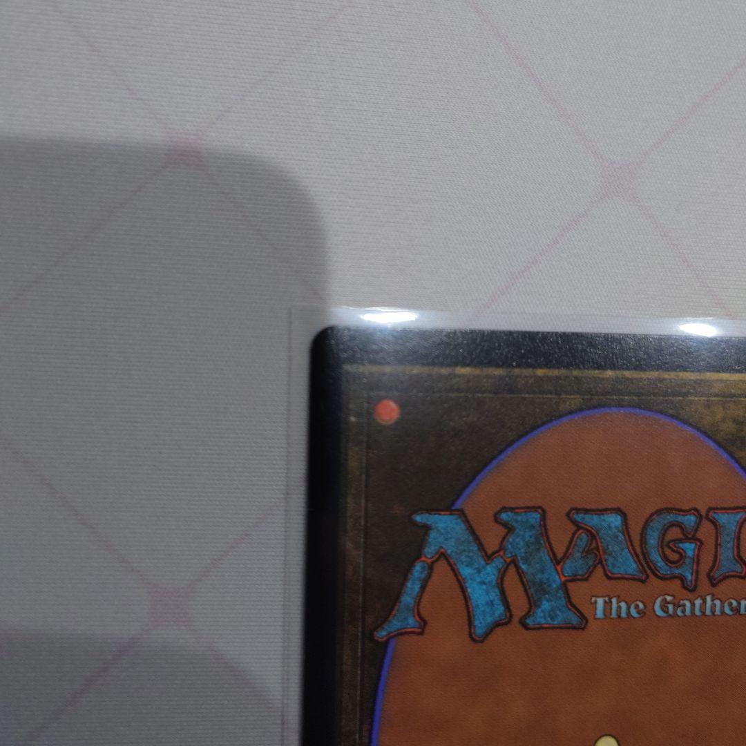 MTG アニマ 悲嘆 Foil 日 ボーダーレス Secret Lair