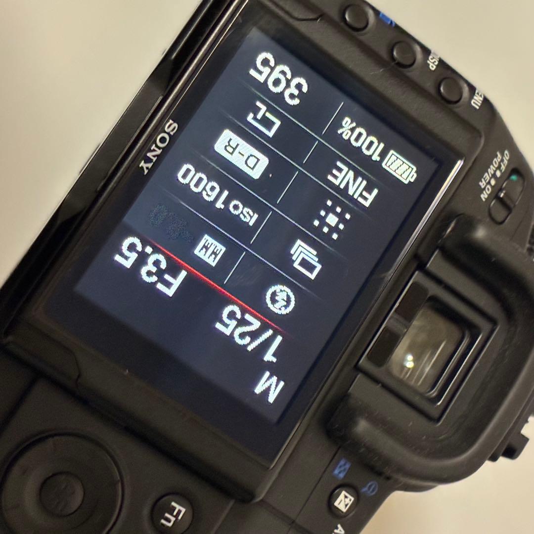 一眼レフデビューにおすすめ！！】SONY α350 初心者セット【作例付き