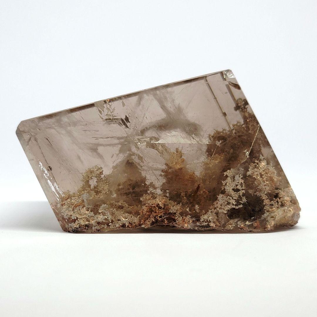 ☆恐竜キング☆カード 冬季限定ディノラマバージョン【ディノニクス(姿)】