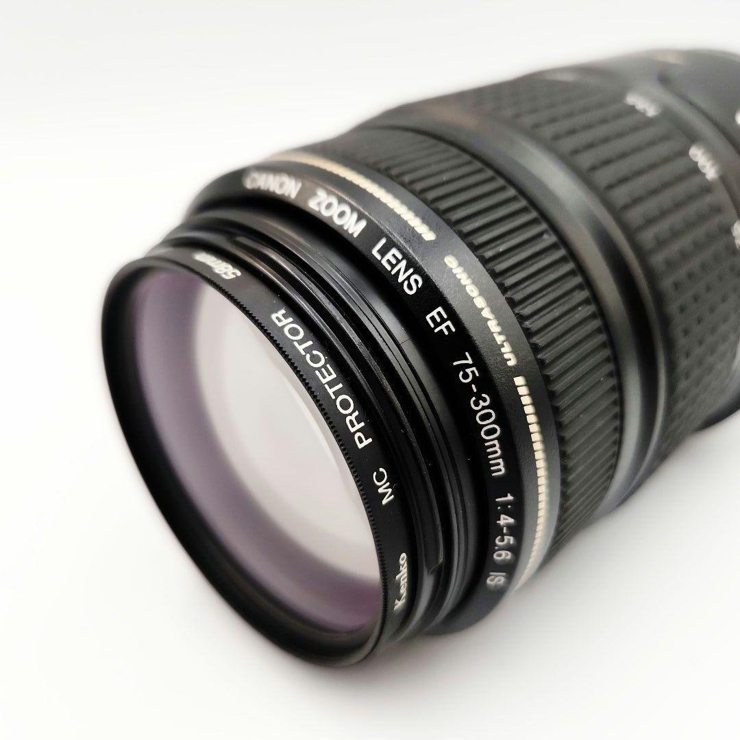 Canon EF 75-300mm f/4-5.6 IS イメージスタビライザー