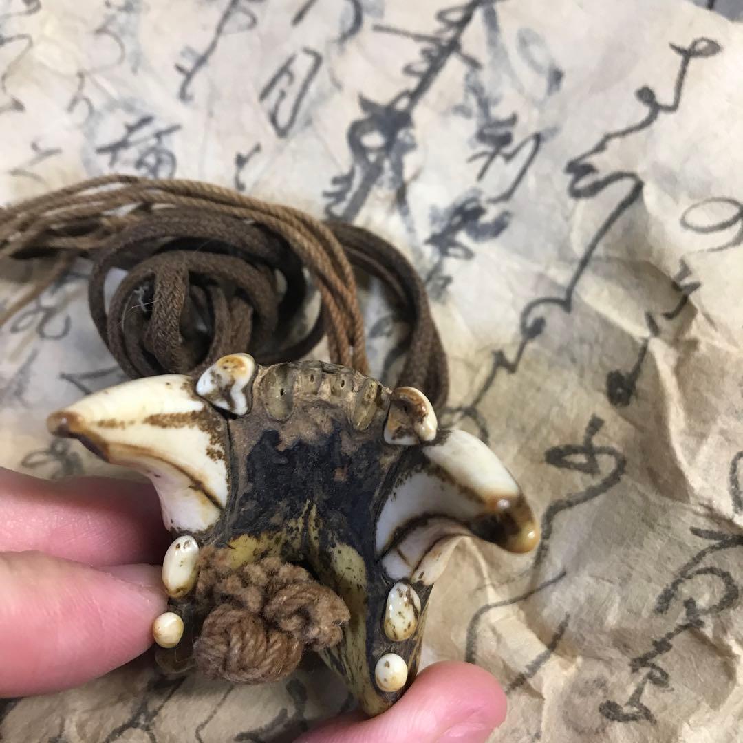 獣牙 根付 呪物 ニホンオオカミ 熊