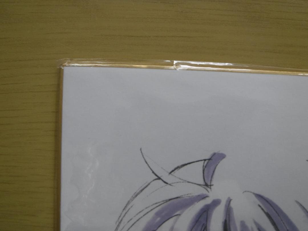 ノラガミ　ARAGOTO　色紙　アニメDVD予約購入特典　原作絵　希少グッズ