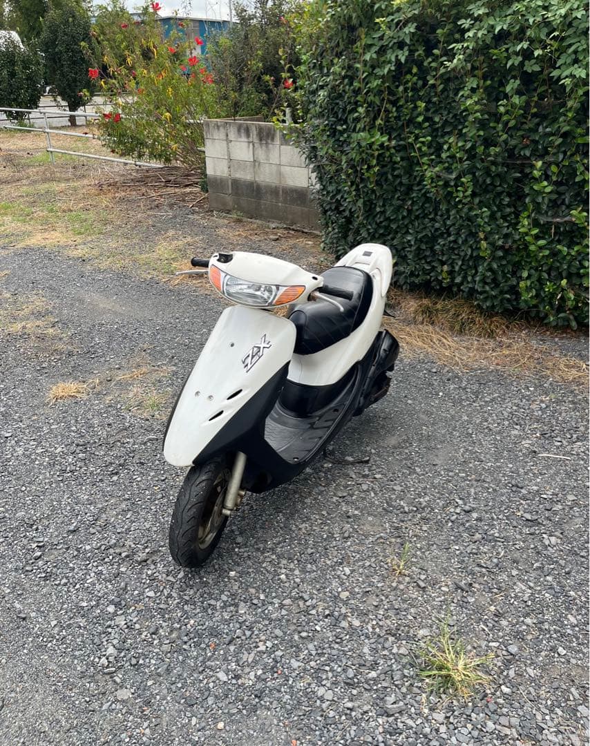 動画ありAF35 ライブディオZX仕様原付バイク50cc 埼玉車体