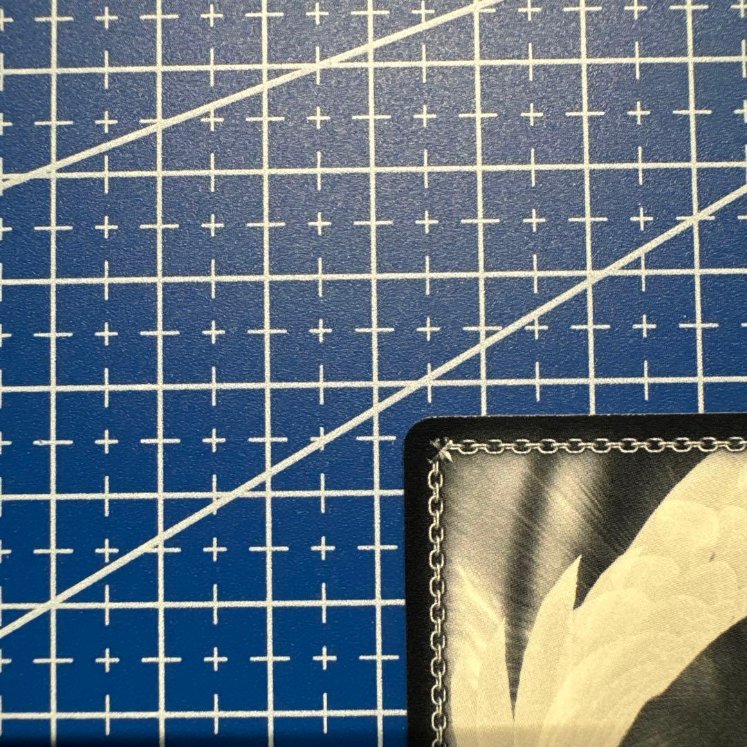 ヴァイス 貴族令嬢の幼馴染 ディア SP 角川スニーカー文庫 136 - メルカリ