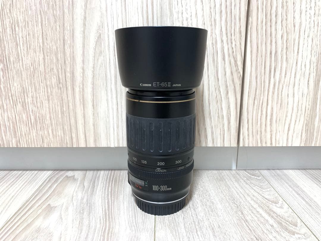 【美品】CANON キヤノン EF 100-300mm F4.5-5.6 USM