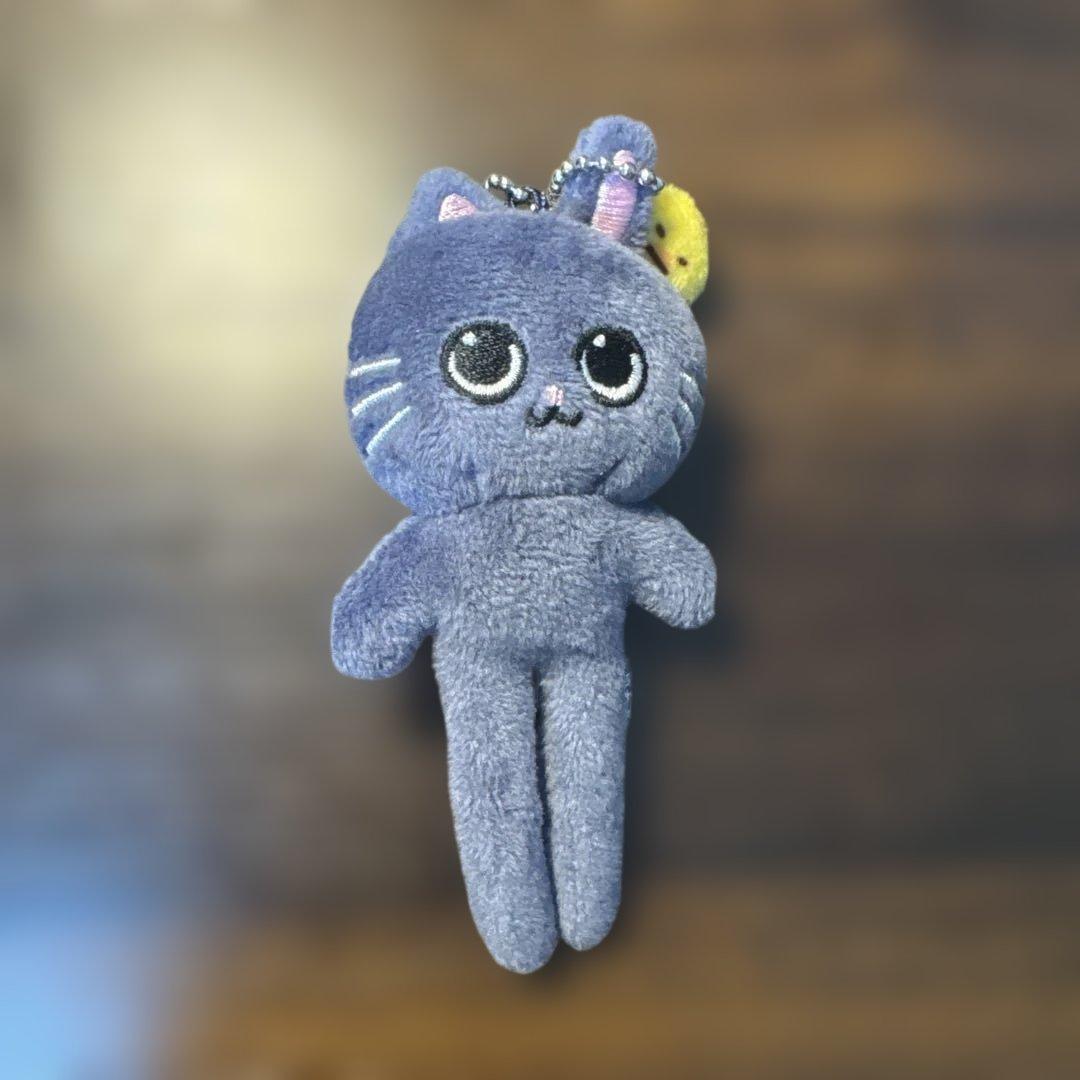 ウォンビン トニャンドク RIIZE POPUP 足長 ロング キーリング - メルカリ