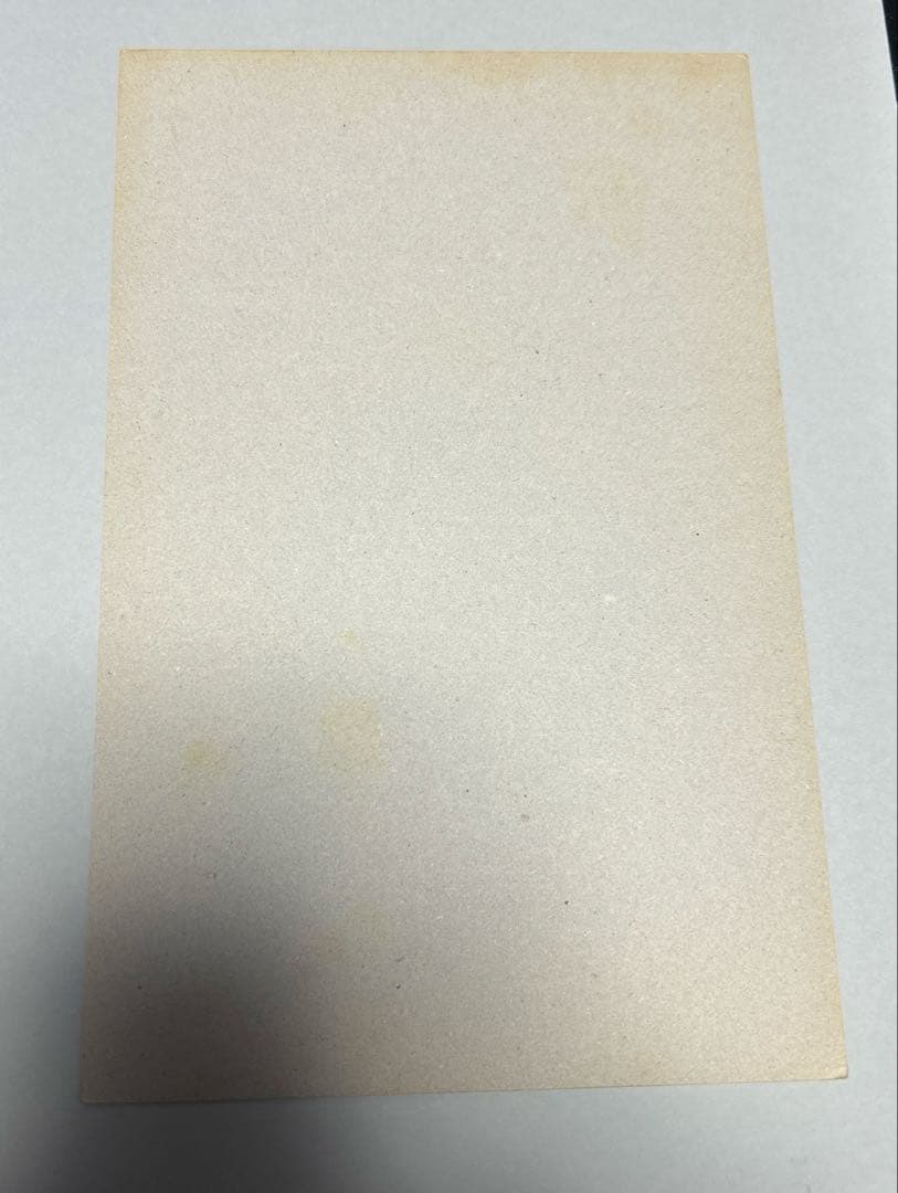 ドラゴンボール カードダス100 台紙 当時物 本弾 第8弾 ドラゴンボールZ