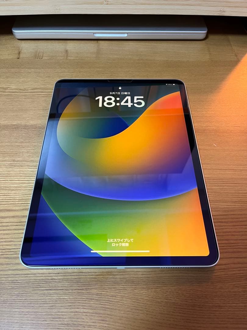 Apple iPadPro 11インチ 第一世代 64GB Apple iPad Pro 11インチ 第1世代 Wi-Fi 64GB MTXN2J/A [スペース