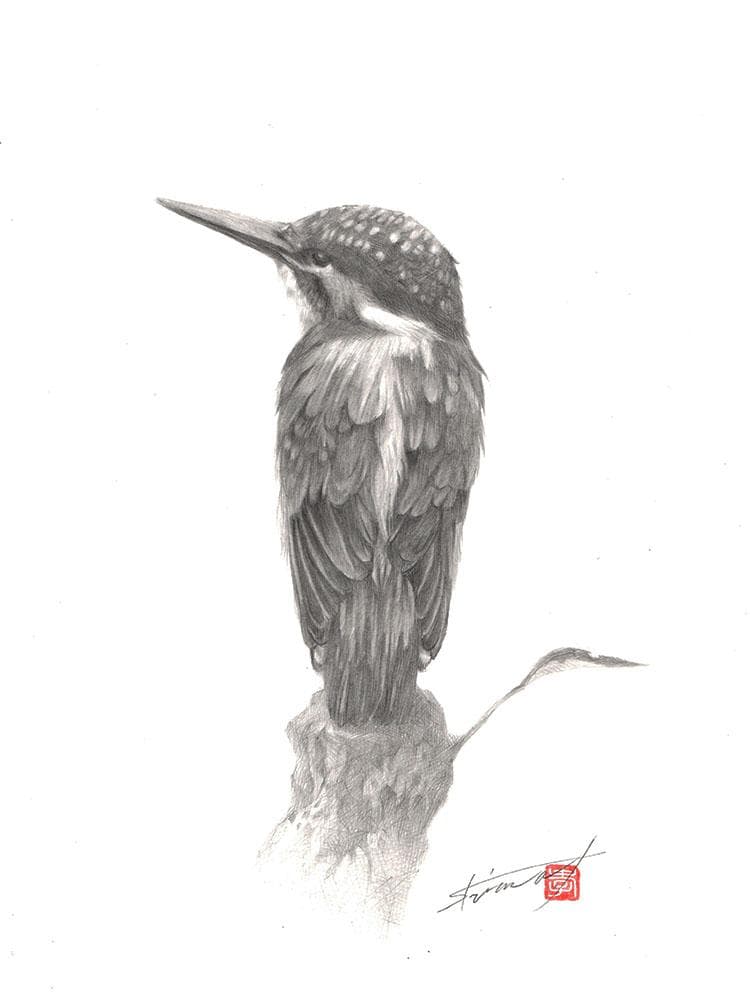 鉛筆アート「カワセミ」真筆、1点物