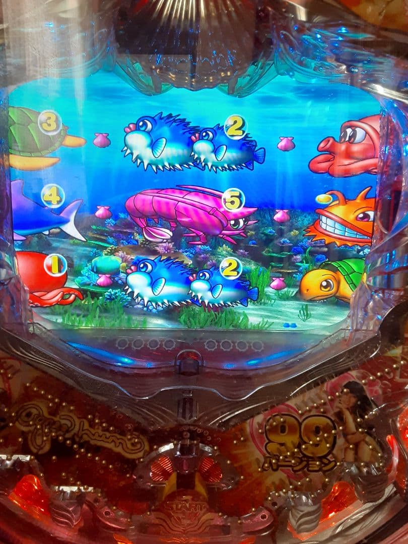 大海物語 2 with アグネスラム 24V 非循環