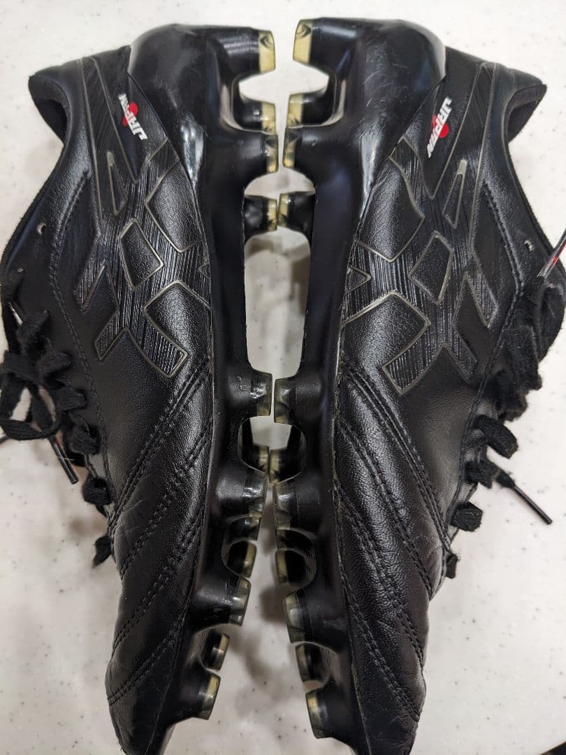 25.0】asics DSライトx-fly4 JAPANブラック - メルカリ