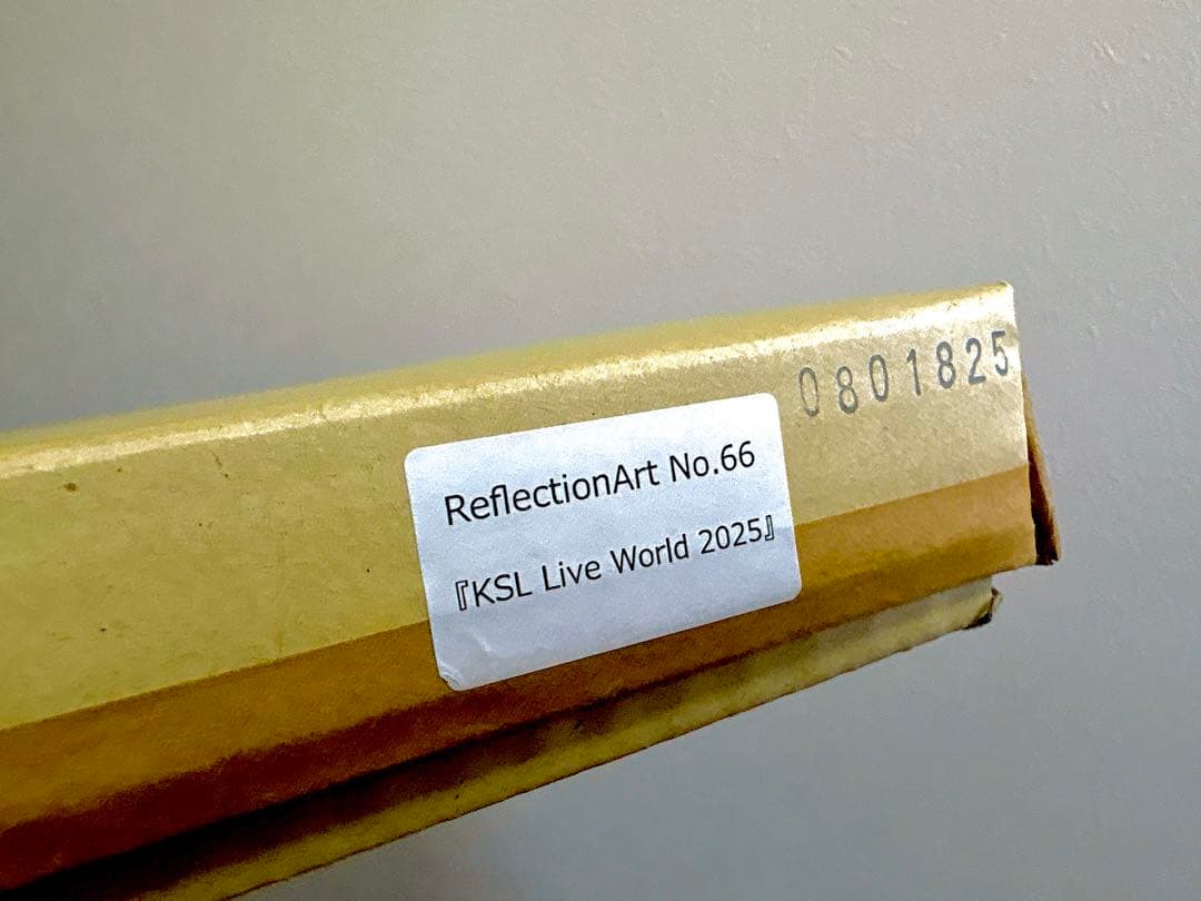 ReflectionArt No.66 KSL 2025 リフレクションアート - メルカリ