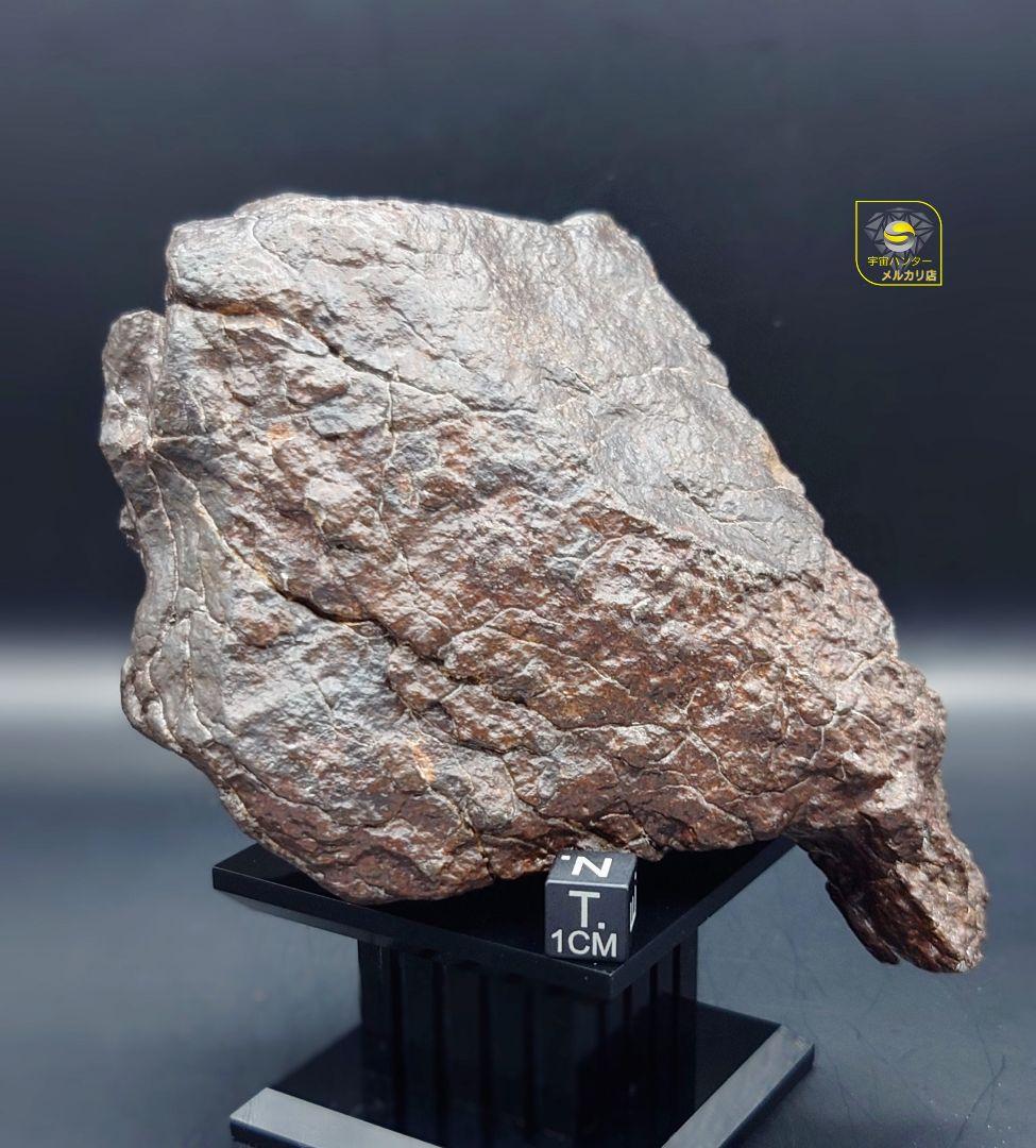 隕石　コンドライト L3 NWA XXX 991.5g ⭐⭐