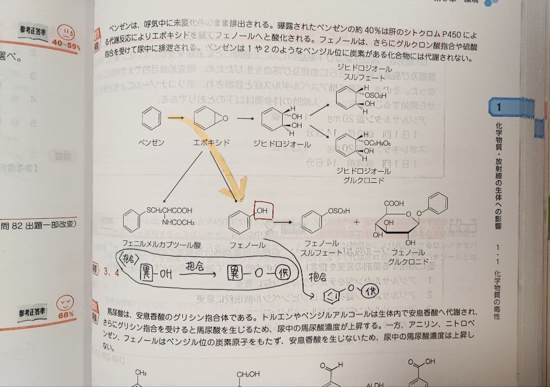 薬剤師国家試験 110回 青本 青問 全巻 模試解説書 セット - メルカリ