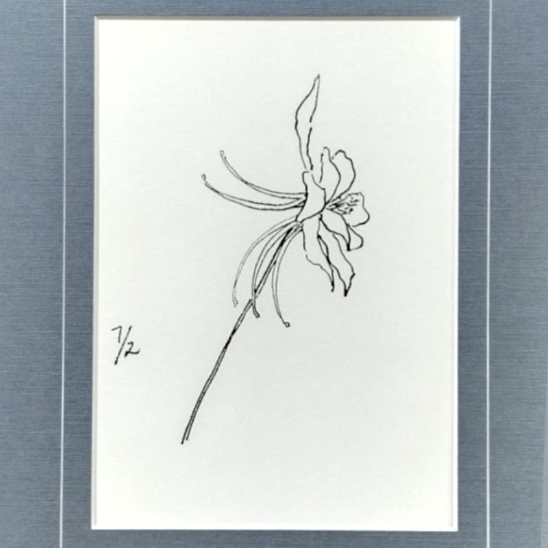 ☆坂本直行☆「 西洋オダマキ（イェロークィーン）」ペン画　太子　未使用！