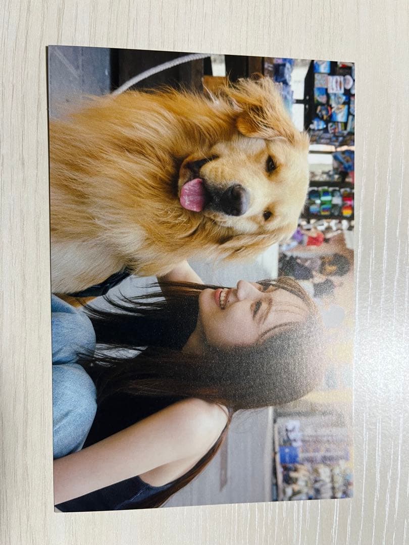 乃木坂46 梅澤美波　写真集　透明な覚悟　書店ポストカード　17種