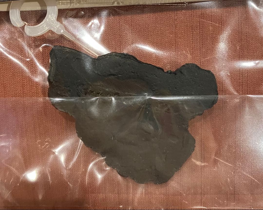 ゴジラ 特撮大百科 シン・ゴジラ 体組織 株式会社キャスト - メルカリ