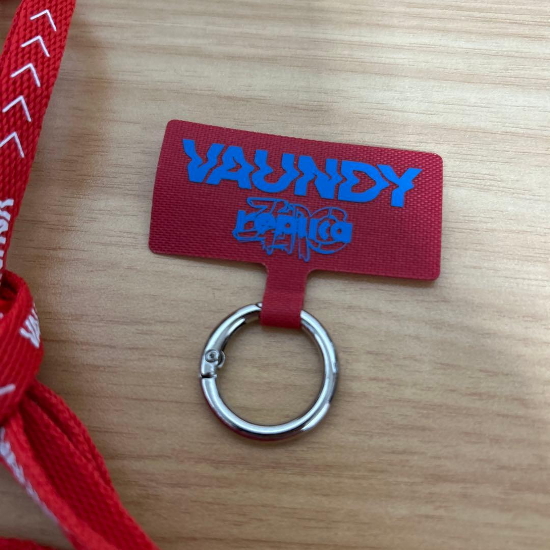 VAUNDY 靴紐 “HINODE” とスマホリング 美品
