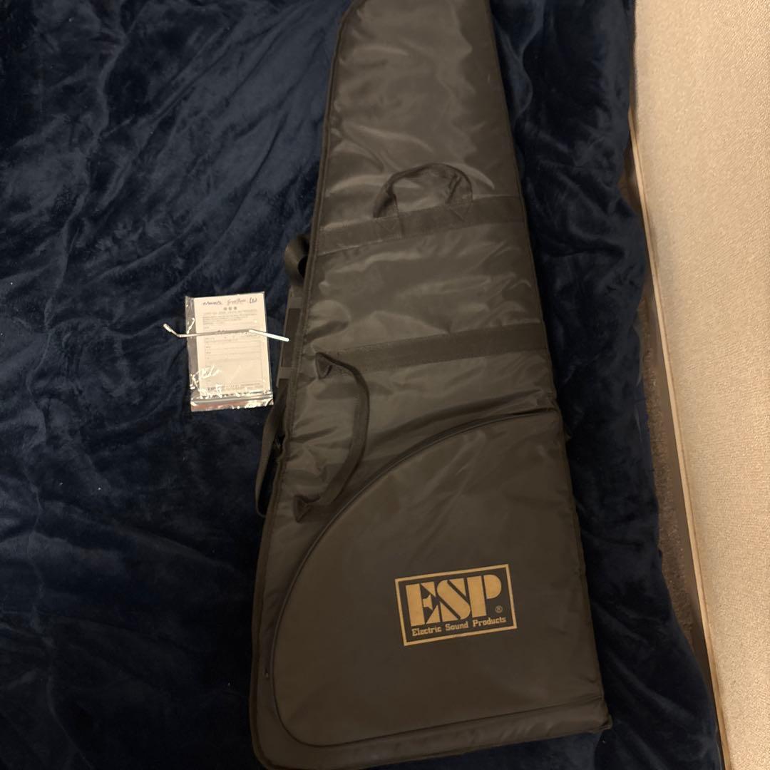 ESP GrassRoots G-STREAM-Miku エレキ ギター