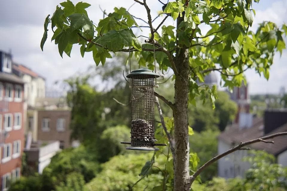 43 改造レンズ　Rodenstock Reomar　ｆ2.8/45 mmL39