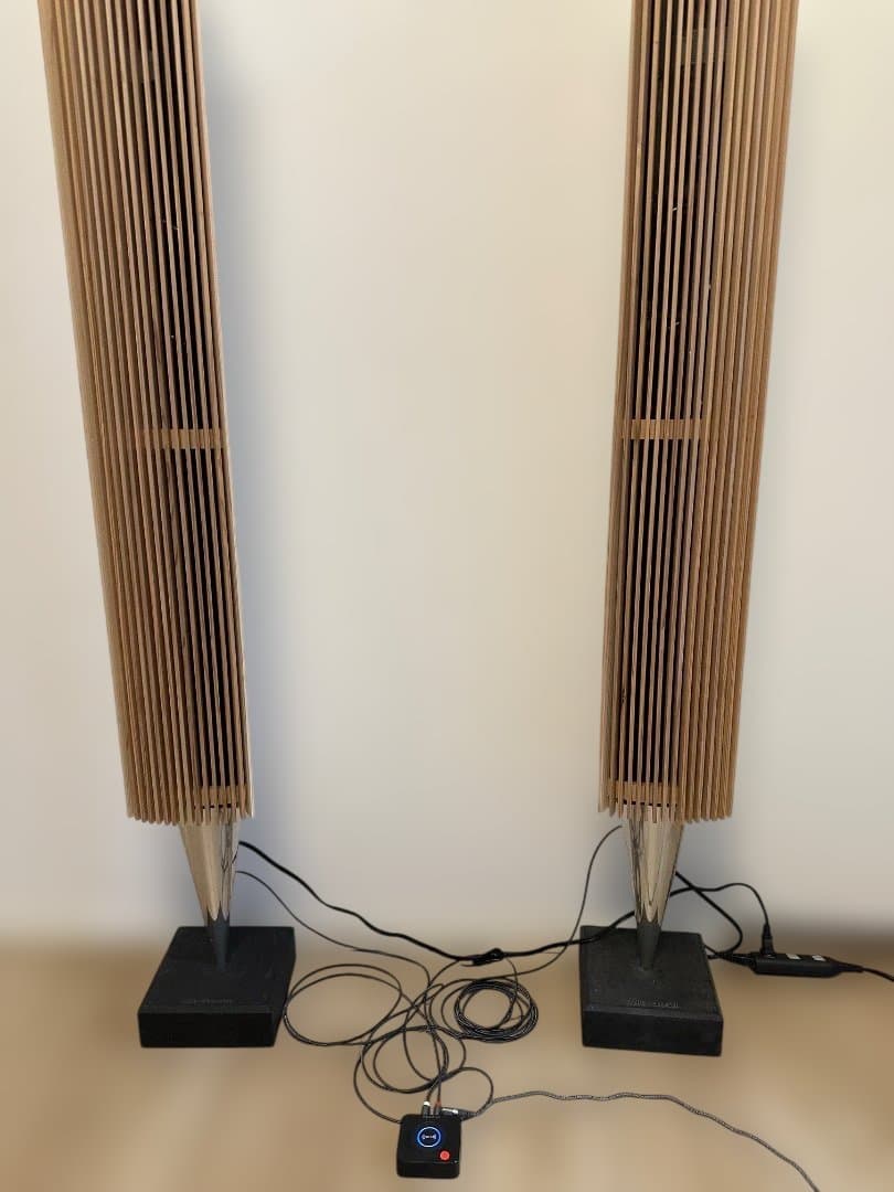 Bang & Olufsen BeoLab 8000スピーカー用の木製カバ bang & olufsen Beolab 8000 Wood cover front (pair) high quality | eBay