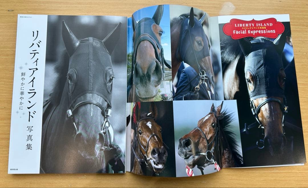 リバティアイランド写真集 鮮やかに華やかに - メルカリ