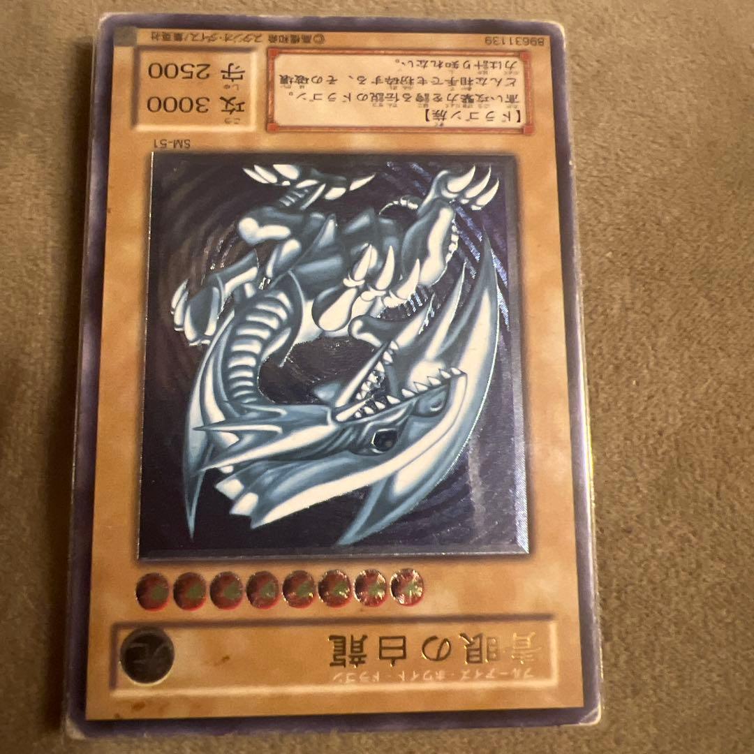 青眼の白龍　青艶　のぞみ