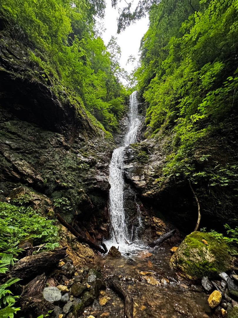 ジ*拳様 【作例あり】SAMYANG 7.5mm F3.5 マイクロフォーサーズ