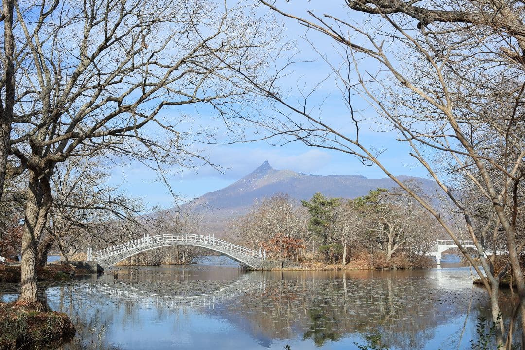 《希少》CANON FL 55mm F1.2 【光学美品】