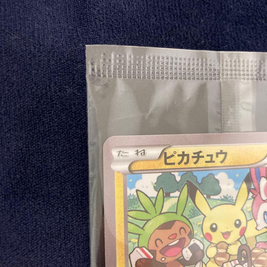 ポケモンカード ピカチュウ いっしょにたべよ 154/XY-P プロモ