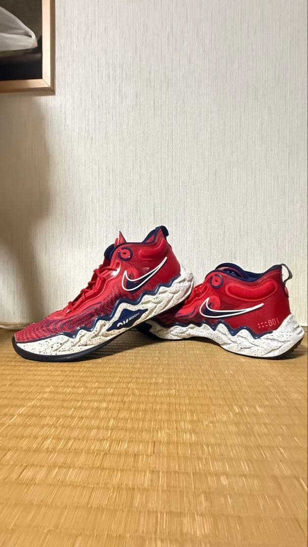 Nike Air Zoom GT Run USAカラー 28.5cm