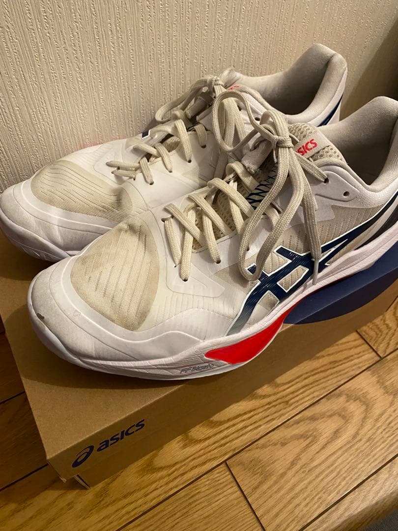 ASICS SKY ELITE FF3 ホワイトドラゴンフルーツ 29cm - メルカリ