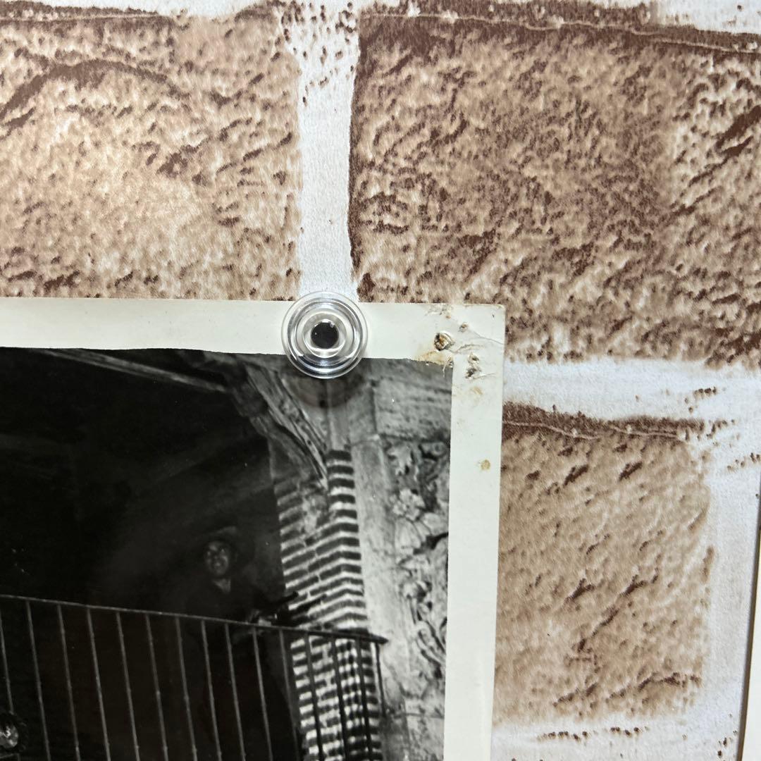 【稀少・非売品】五匹の用心棒 / 必殺の用心棒　スチール写真