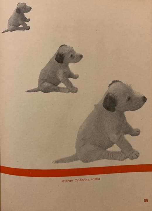 稀覯本】カレル・チャペック著『ダーシェンカ』Dášeňka 1946年版