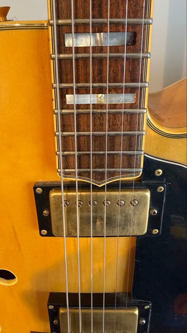 Vantage 655 フルアコ　17インチ