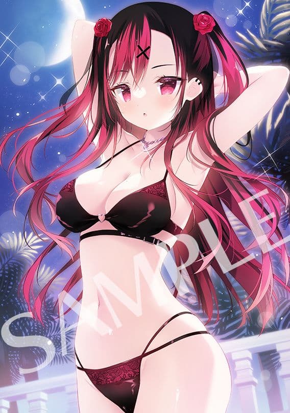 【新品未開封】きゃべつそふとFANBOX 第5期 継続特典 3点セット