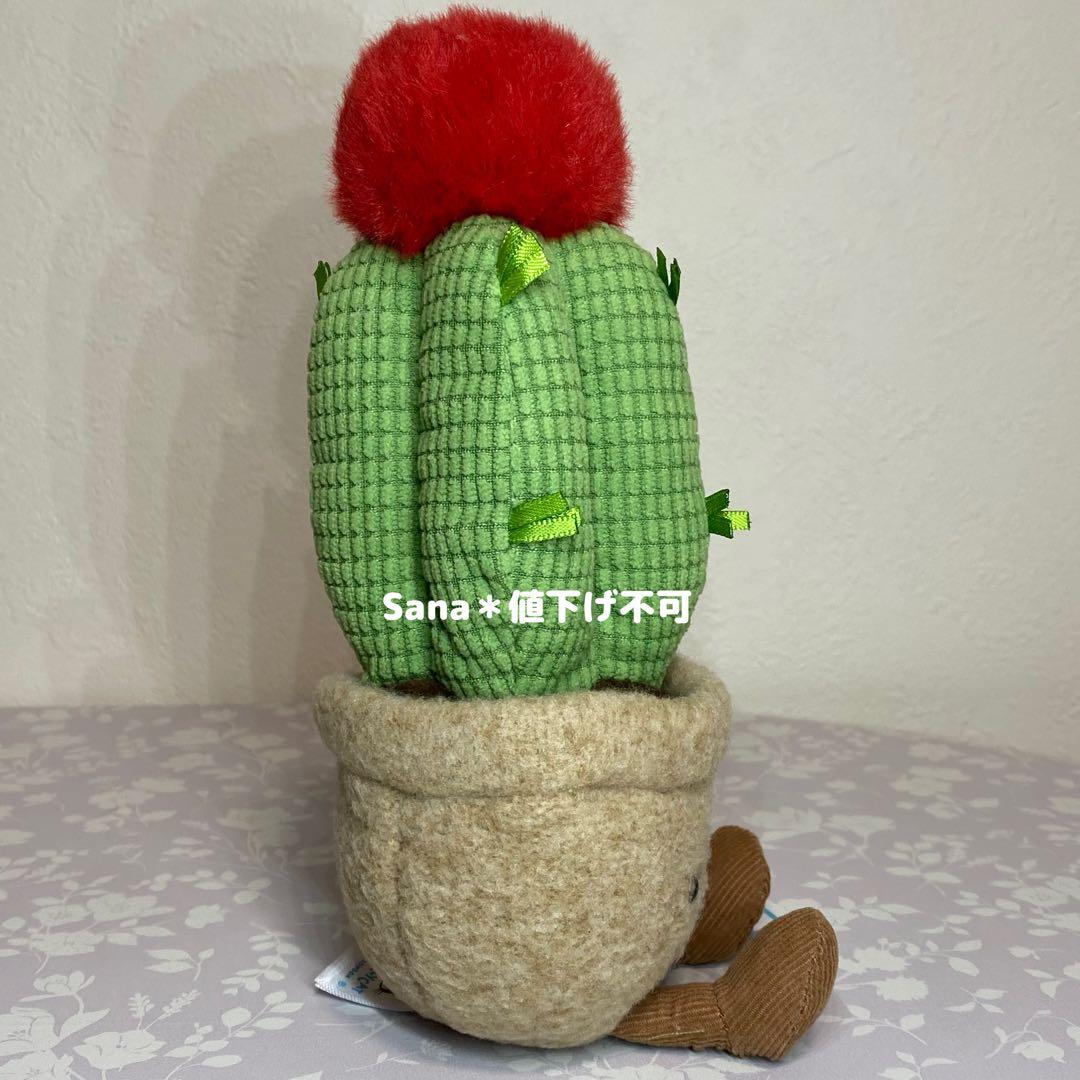 廃盤　新品　ジェリーキャット　緋牡丹　サボテン　観葉植物　植物　cactus