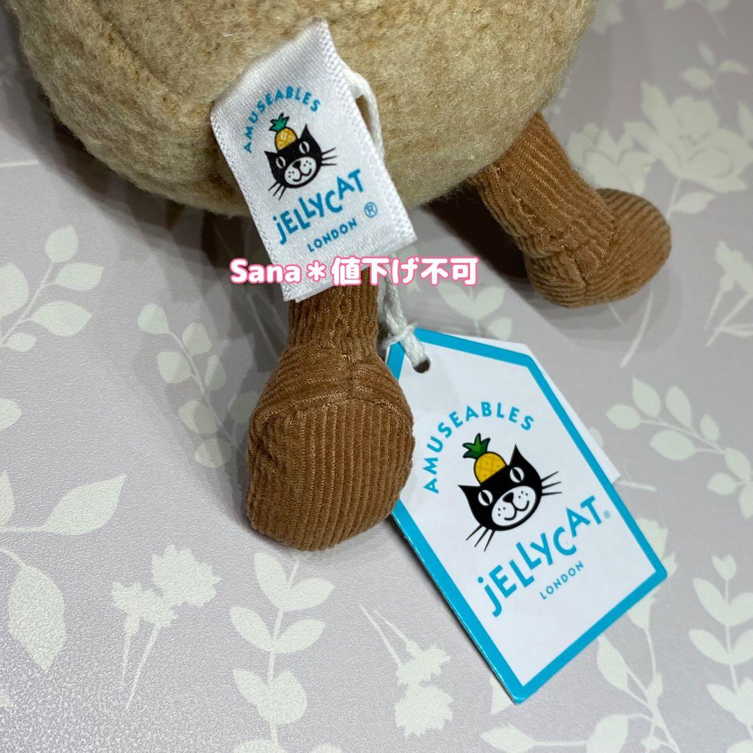 廃盤　新品　ジェリーキャット　緋牡丹　サボテン　観葉植物　植物　cactus