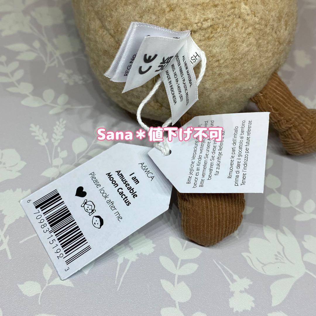 廃盤　新品　ジェリーキャット　緋牡丹　サボテン　観葉植物　植物　cactus